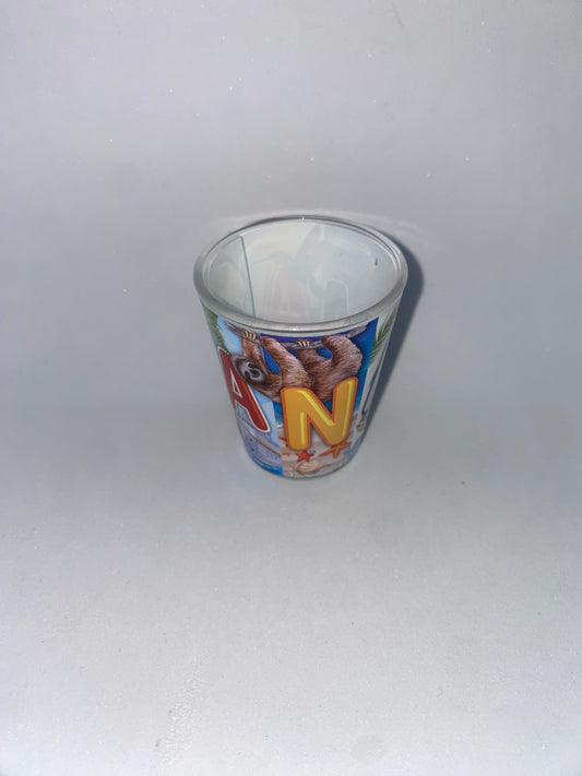 VS4 - Vaso de panamá para shots de Tequila